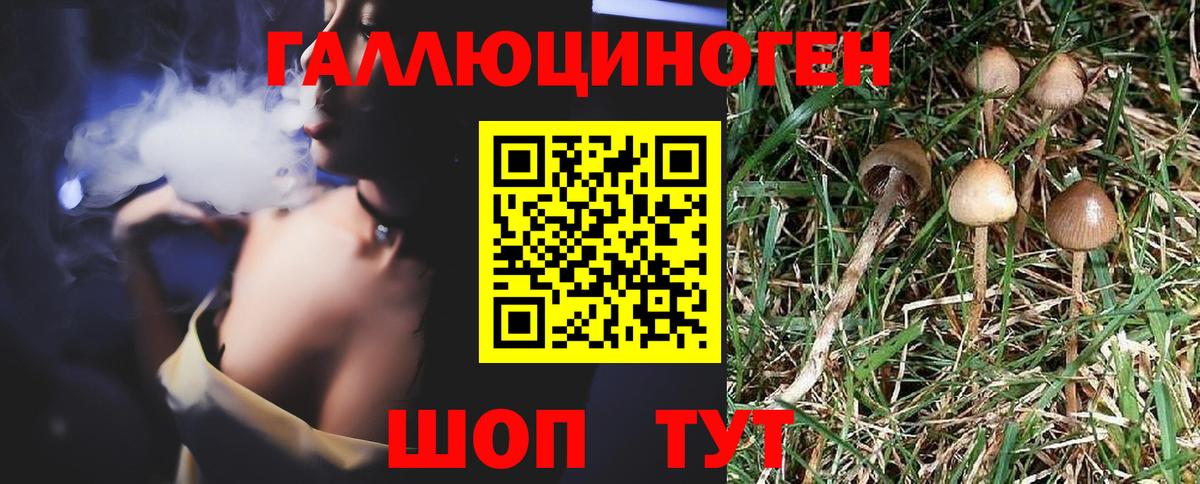 Заводоуковск  Псилоцибиновые грибы прущие грибы  где купить   Вход с VPN 
