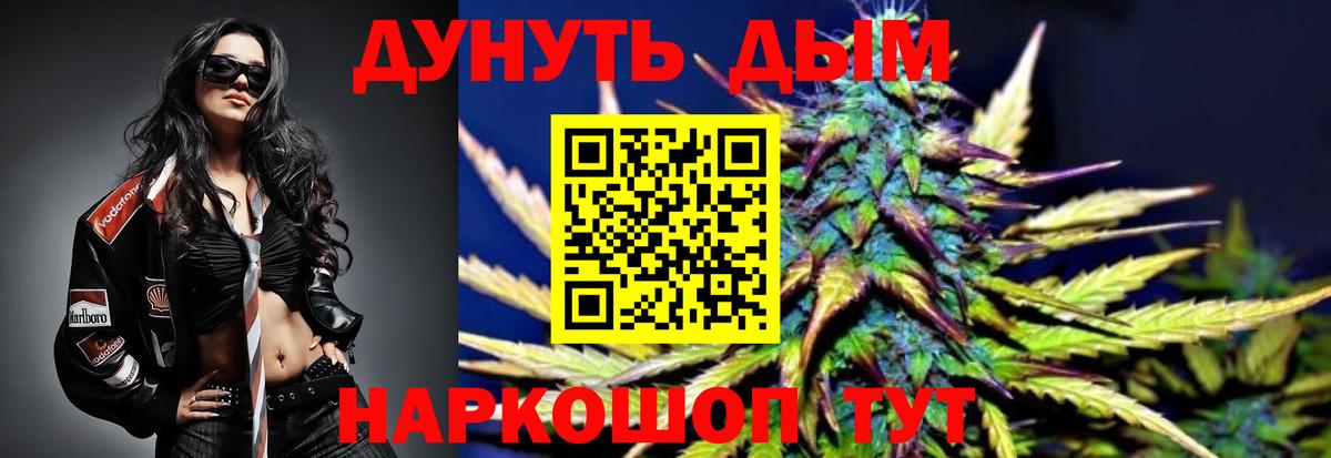Бошки Шишки план Заводоуковск